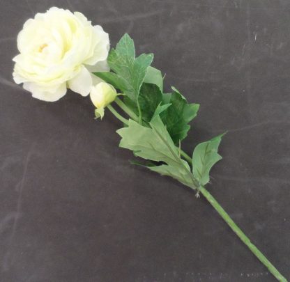 Witte rozen